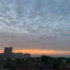 Nickows-