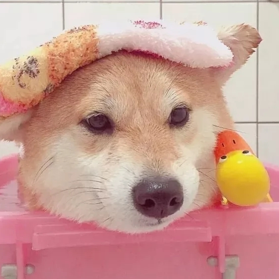 秒发不用等