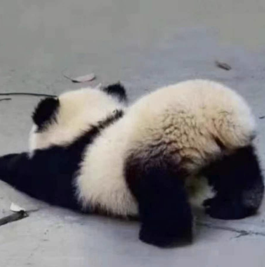 三点一月