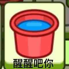 番茄我是土豆