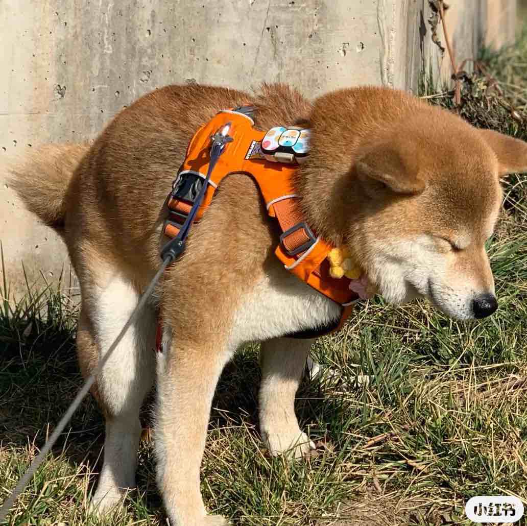 什么阳