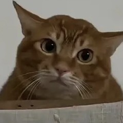 在线秒发6966