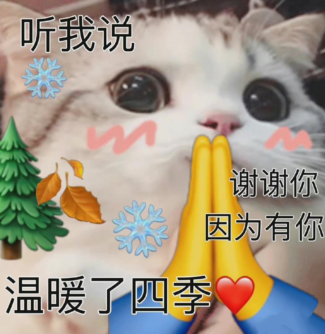 花生桂圆