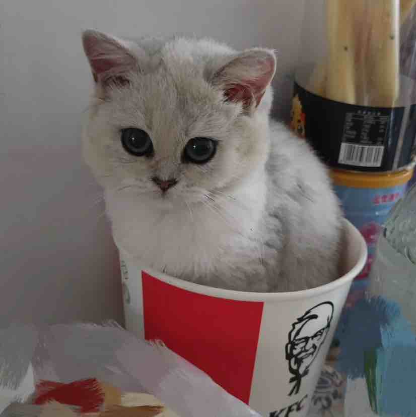 爪巴小卖铺